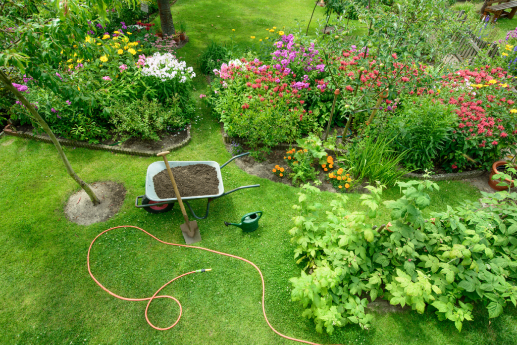Garden Maintenance -Tim Read Gardening Services